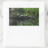 Sticker Rectangulaire Rangée de tortues Green Nature Photo (Sac)