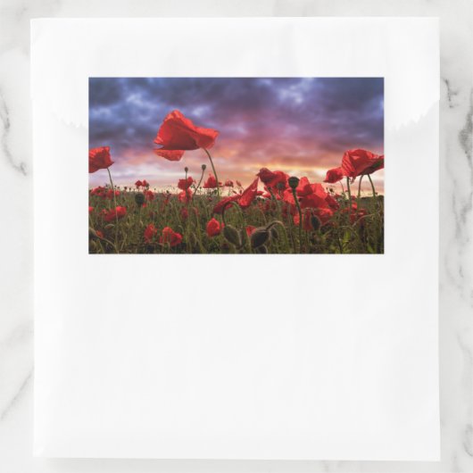 Sticker Rectangulaire Rappel | Champ de pavots (Sac)