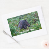 Sticker Rectangulaire Rare Black New Forest Pony - Wild Horse - Angleter (Enveloppe)