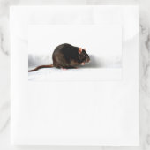 Sticker Rectangulaire Rat stcna (Sac)