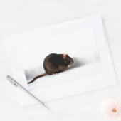 Sticker Rectangulaire Rat stcna (Enveloppe)