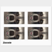 Sticker Rectangulaire Raton laveur (Feuille)