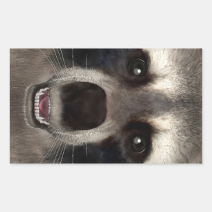 Sticker Rectangulaire Raton laveur