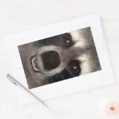 Sticker Rectangulaire Raton laveur (Enveloppe)
