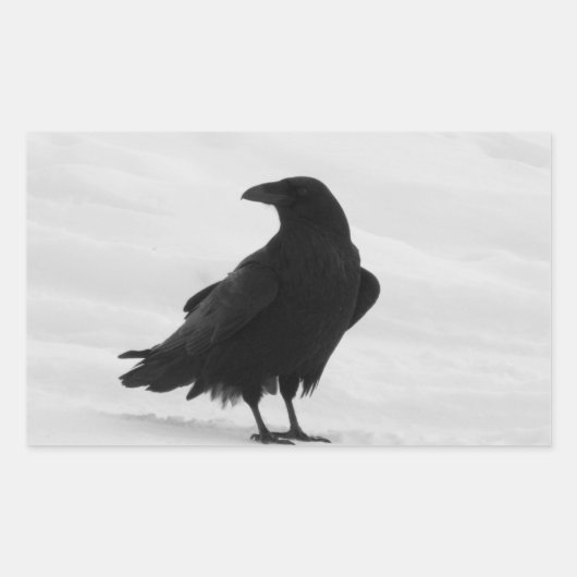 Sticker Rectangulaire Raven fier (Devant)