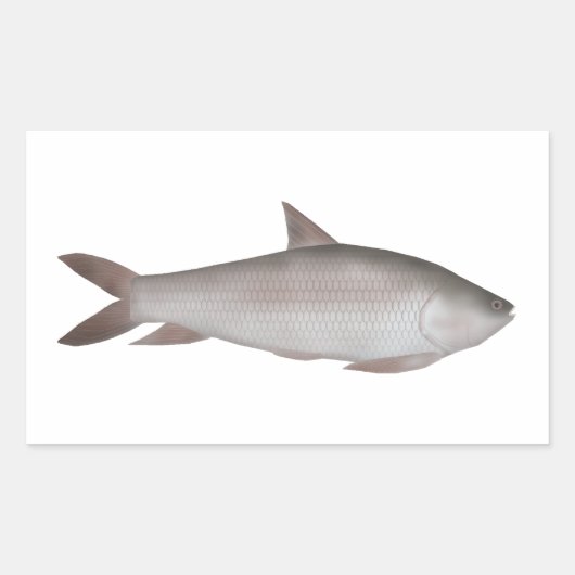 Sticker Rectangulaire Reba Carp (Devant)