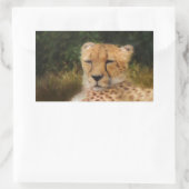 Sticker Rectangulaire Recenser Cheetah au Fossil Rim Wildlife Centre (Sac)