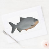 Sticker Rectangulaire Red-bellied Pacu (Enveloppe)