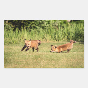 Sticker Rectangulaire Red Fox Kits Jouer