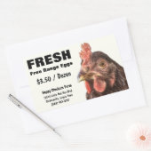 Sticker Rectangulaire Red Laying Hen Chicken Photo (Enveloppe)