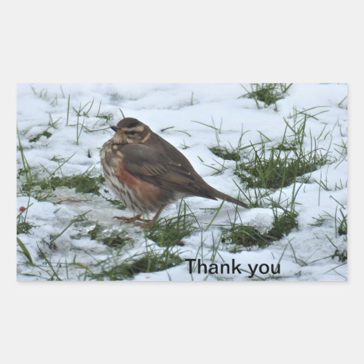 Sticker Rectangulaire Redécoupage (Devant)