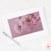 Sticker Rectangulaire Reflets Rose Pâle des Fleurs de Cerisier Sakura (Enveloppe)