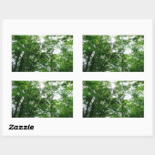 Sticker Rectangulaire Regard sur les arbres d'été (Feuille)