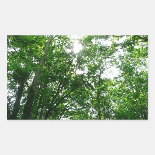 Sticker Rectangulaire Regard sur les arbres d'été (Devant)