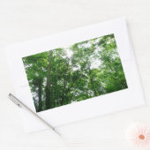 Sticker Rectangulaire Regard sur les arbres d'été (Enveloppe)