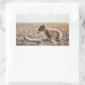 Sticker Rectangulaire Renard arctique (Sac)