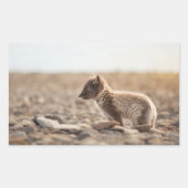 Sticker Rectangulaire Renard arctique (Devant)
