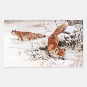 Sticker Rectangulaire Renards roux dans la neige hivernale (par Wilhelm