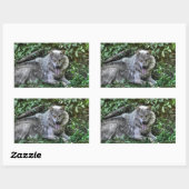Sticker Rectangulaire Repos Loup gris 3 Cadeau faunique (Feuille)