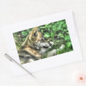 Sticker Rectangulaire Repose bébé Loup Coupe de la faune Photo (Enveloppe)