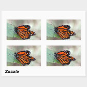 Sticker Rectangulaire Repose de monarque (Feuille)