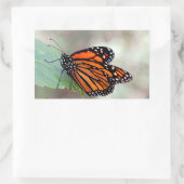 Sticker Rectangulaire Repose de monarque (Sac)