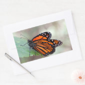 Sticker Rectangulaire Repose de monarque (Enveloppe)
