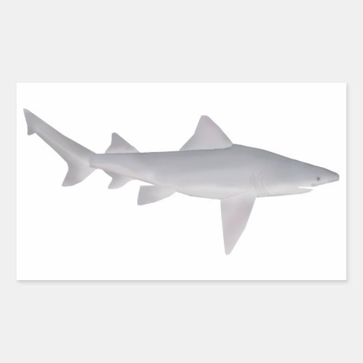 Sticker Rectangulaire Requin à bec (Devant)