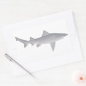 Sticker Rectangulaire Requin à bec (Enveloppe)