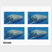 Sticker Rectangulaire Requin baleine (Feuille)