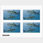 Sticker Rectangulaire Requin des récifs des Caraïbes (Feuille)