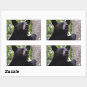 Sticker Rectangulaire Ressort - Ours noir (Feuille)
