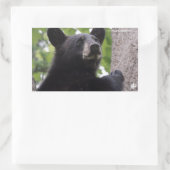 Sticker Rectangulaire Ressort - Ours noir (Sac)