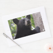 Sticker Rectangulaire Ressort - Ours noir (Enveloppe)