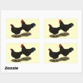Sticker Rectangulaire Rhode Island Red Bantams (Feuille)
