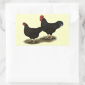 Sticker Rectangulaire Rhode Island Red Bantams (Sac)