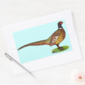 Sticker Rectangulaire Ringneck Pheasant Rooster (Enveloppe)
