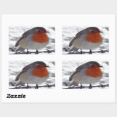 Sticker Rectangulaire Robin Redmamin (Feuille)