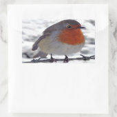 Sticker Rectangulaire Robin Redmamin (Sac)