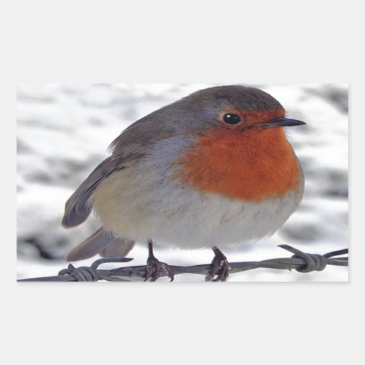 Sticker Rectangulaire Robin Redmamin (Devant)