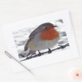 Sticker Rectangulaire Robin Redmamin (Enveloppe)