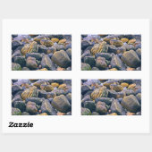 Sticker Rectangulaire Roches colorées    (Feuille)
