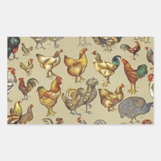 Sticker Rectangulaire Rooster Poulet de la ferme Pays Animal (Devant)