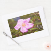 Sticker Rectangulaire Rose (Enveloppe)