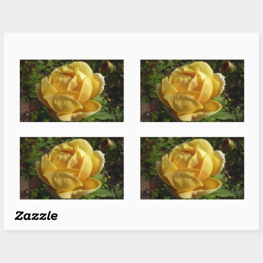 Sticker Rectangulaire Rose d'Angleterre (Feuille)