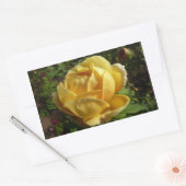 Sticker Rectangulaire Rose d'Angleterre (Enveloppe)