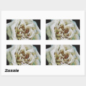 Sticker Rectangulaire Rose impressionniste isolé sur noir (Feuille)