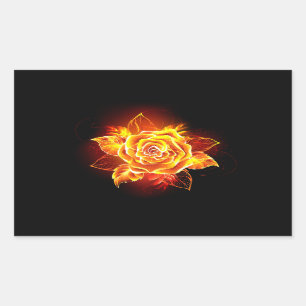 Sticker Rectangulaire Rose incendie en floraison