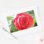 Sticker Rectangulaire Rose orange (Enveloppe)