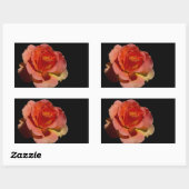 Sticker Rectangulaire Rose orange (Feuille)